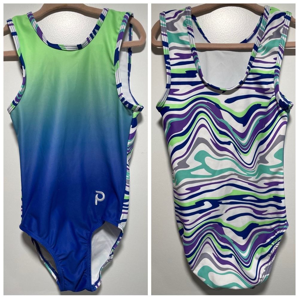 Plum flip-side blue ombré leotard CS